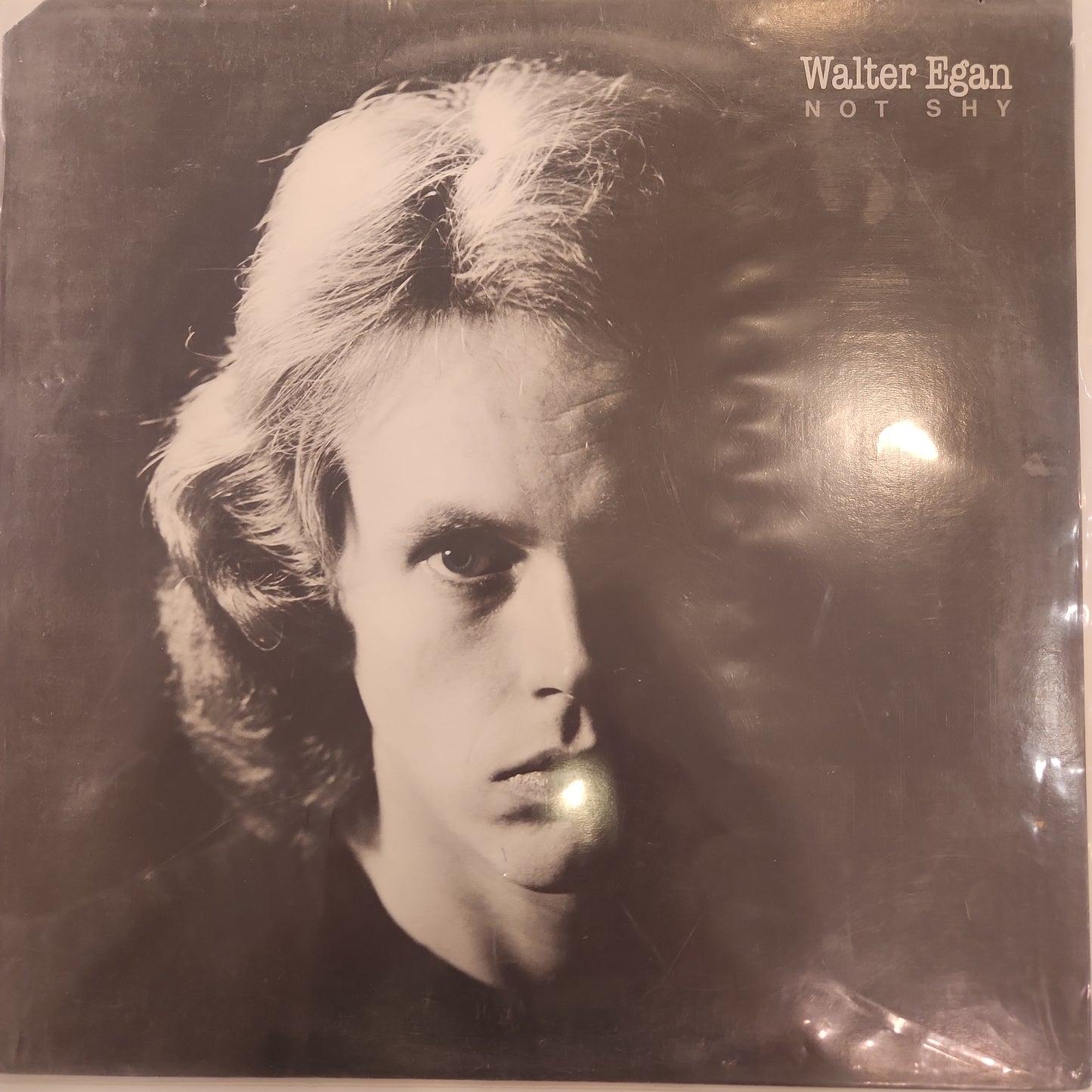 Walter Egan - Not Shy