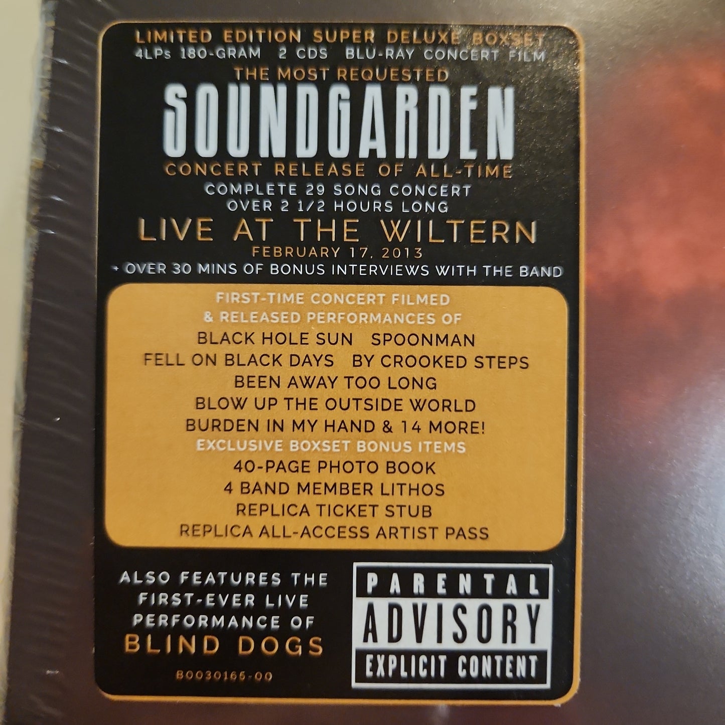 Soundgarden - Live From The Artists Den