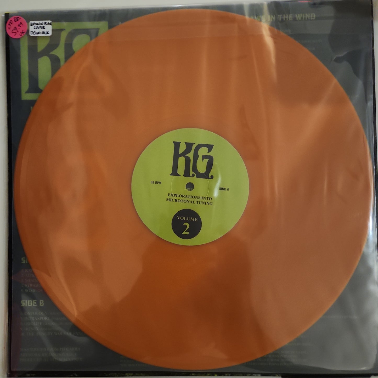 King Gizzard and the Lizard Wizard - Explorations Into Microtonal Tuning Vol. 2