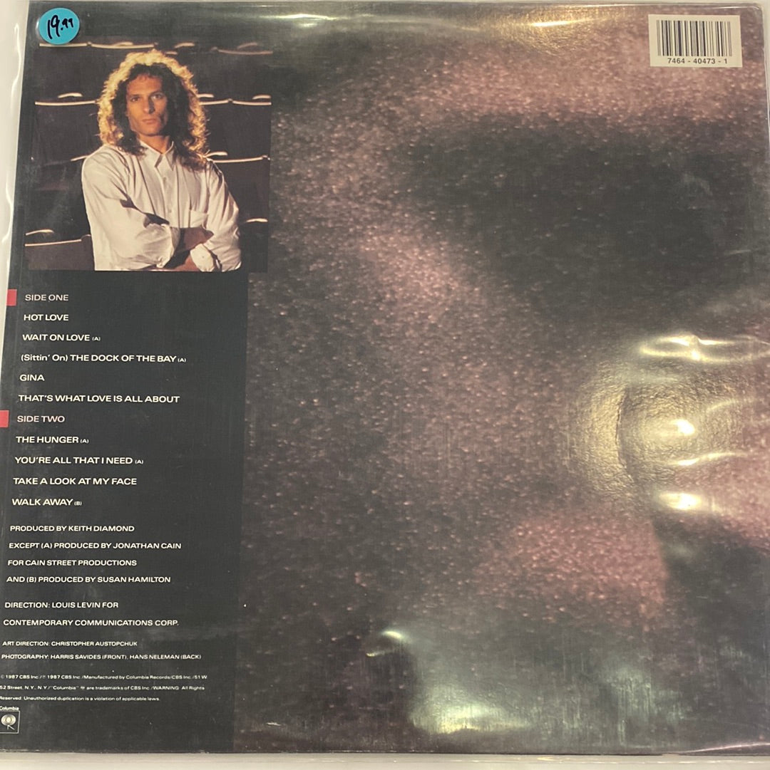 Michael Bolton - The Hunger