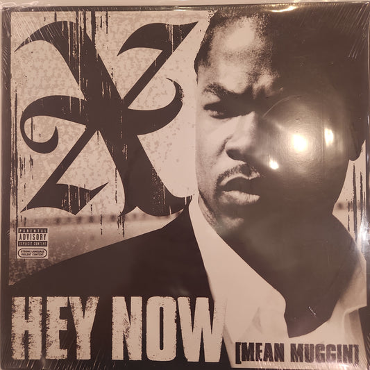 XZIBIT - Hey Now 12" Single