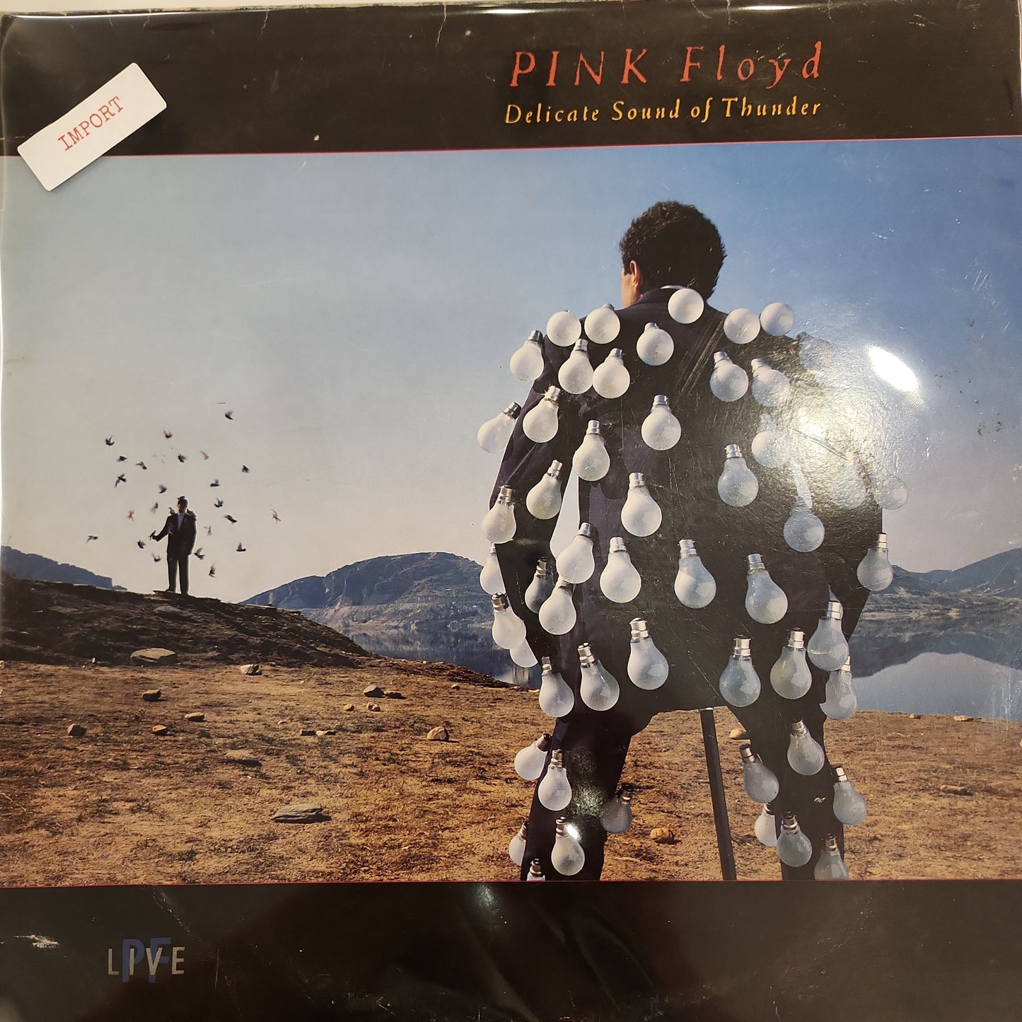 Pink Floyd - The Delicate Sound Of Thunder