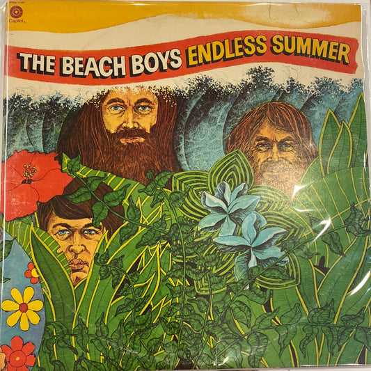 The Beach Boys - Endless Summer