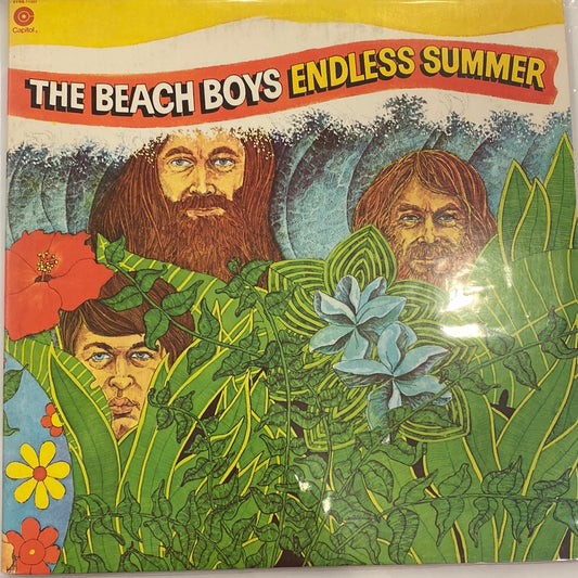 The Beach Boys - Endless Summer